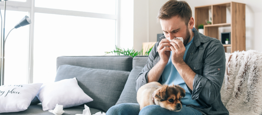 Carpet Cleaning for Allergy Sufferers Best Practices and Products